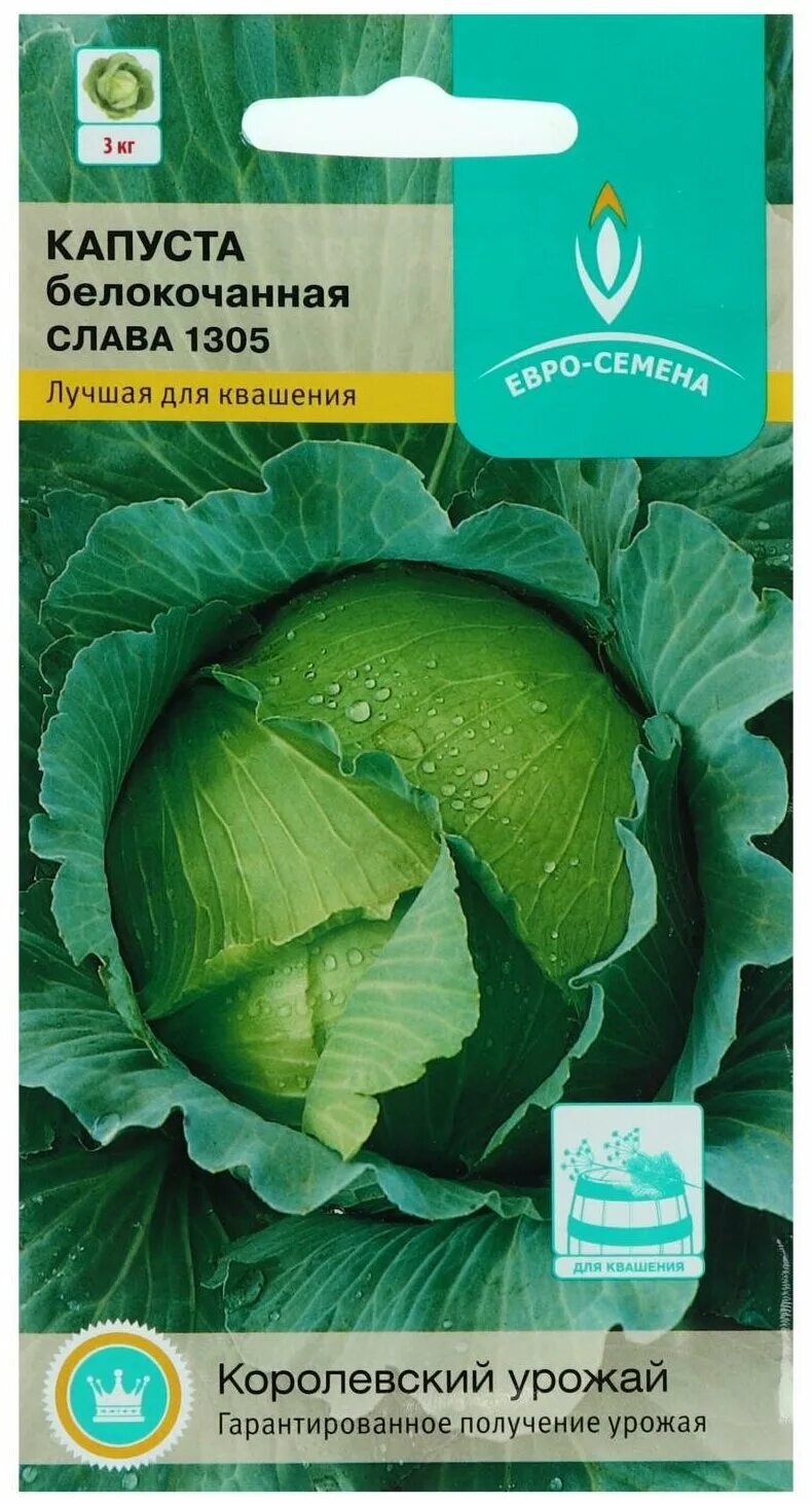 Капуста слава характеристика. Семена капуста белокочанная Слава 1305. Капуста Слава 1305 семена. Капуста белокочанная среднеспелая Слава. Слава 1305 евро-семена.