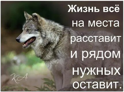 Жизнь сама расставит