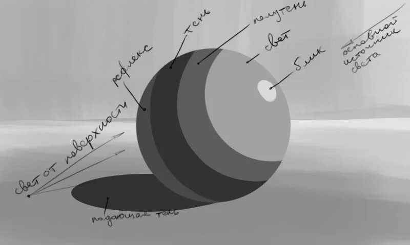 Шар блик свет полутень. Шар тень полутень блик рефлекс. Свет тень полутень на шаре. Распределение светотени на шаре. Схема света и тени