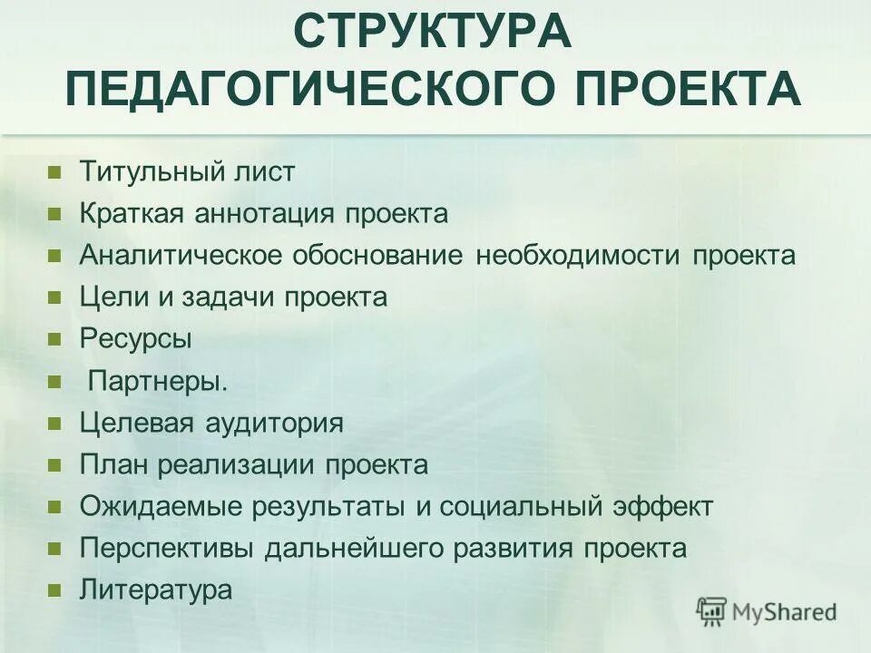 Структура выбранной компании