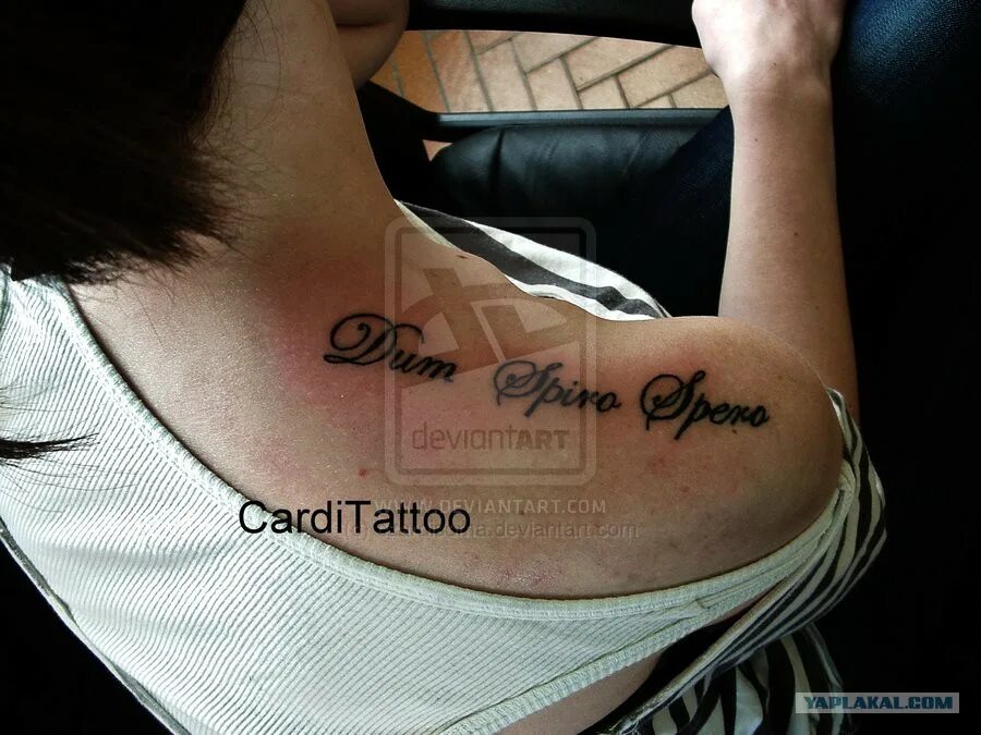 пока дышу живу на латыни. тату dum spiro. тату надпись dum spiro spero. тату вера надежда любовь. вера надежда любовь иату.