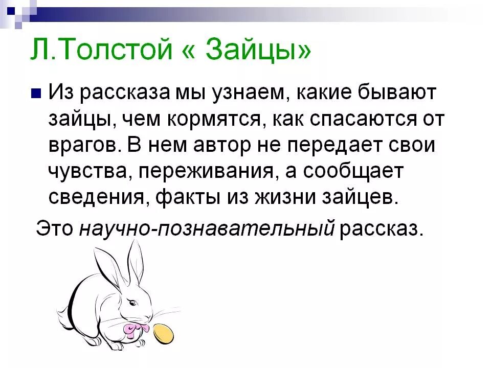 Толстой зайцы читать полностью. Л.толстой зайцы. лев николаевич толстой зайцы. план рассказа зайцы льва толстого. произведение толстого зайцы.