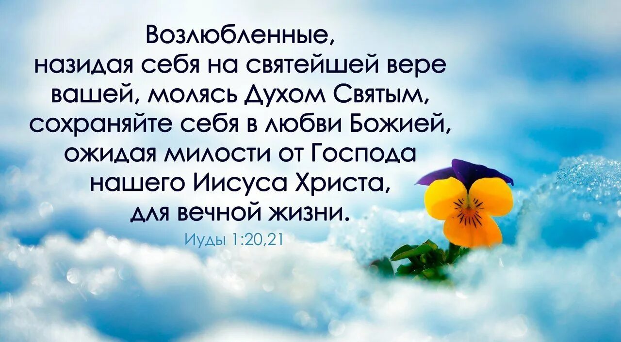 Христианские высказывания. Библейские стихи. Библейские стихи о любви. Стихи из Библии про любовь Божью. Духа на каждый день