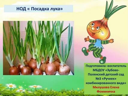 Как правильно пишется лук