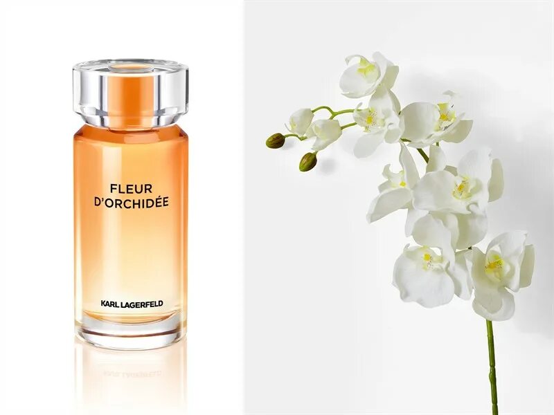 Karl Lagerfeld fleur d'Orchidee. Fleur d'Orchidee Karl Lagerfeld 50 мл. Парфюм Karl Lagerfeld fleur de Orchidee.