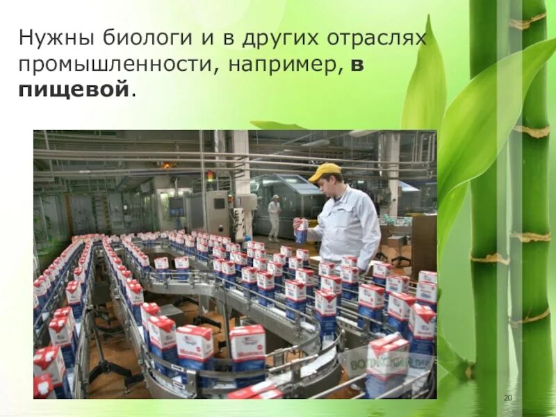 Профессия биолог презентация. Где нужны биологи. Где нужны биологи. Где нужны биологи. Сообщение профессии связанные с биологией.