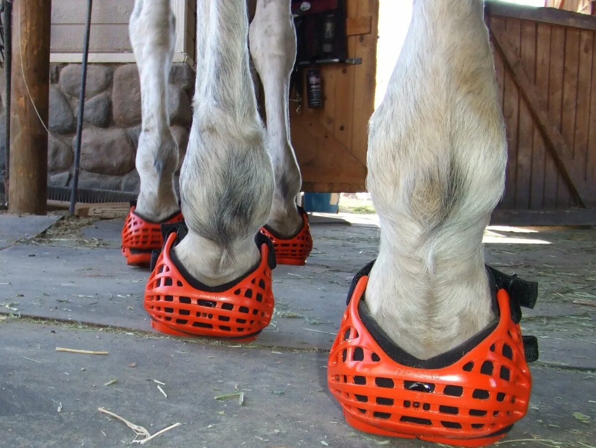 Ботинки для копыт Renegade. Башмаки для лошади.