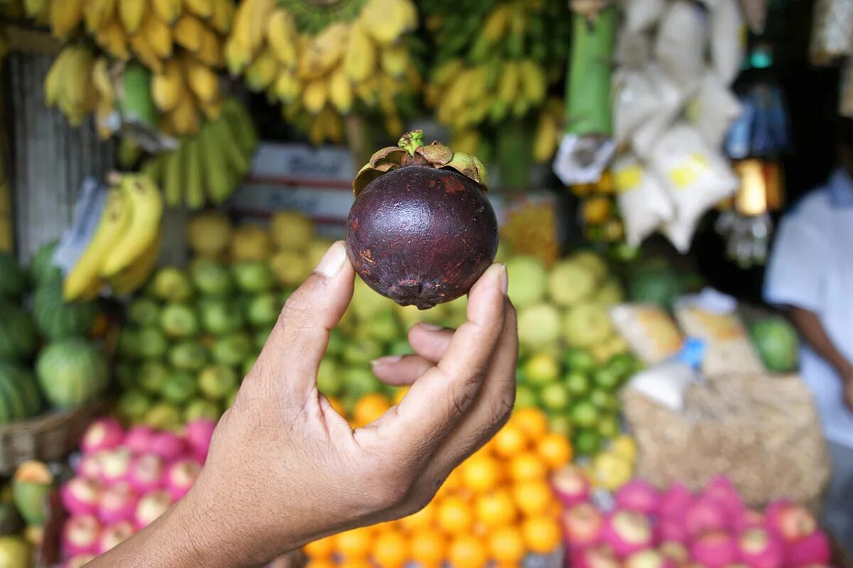 Фрукты шри ланки. Шри-Ланка фрукты. Шри Ланка рынок манго. Экзотические фрукты Шри Ланки.