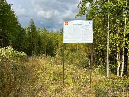 Заказник белый сыктывкар