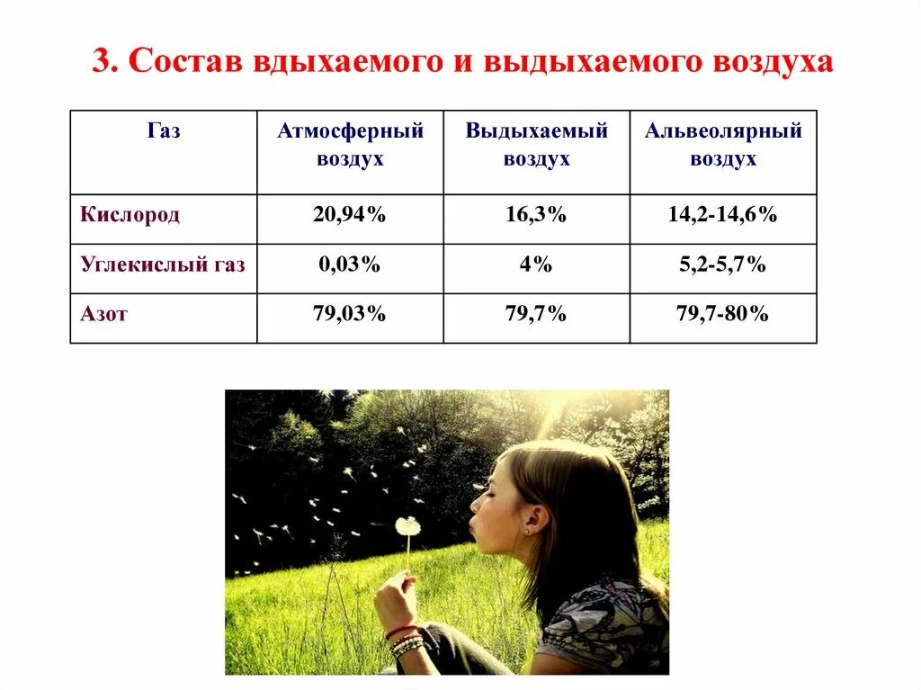 Дыши воздухом сколько. Состав выдыхаемого воздуха. Состав вдыхаемого и выдыхаемого. Состав вдыхаемого воздуха. Состав атмосферного и выдыхаемого человеком воздуха.