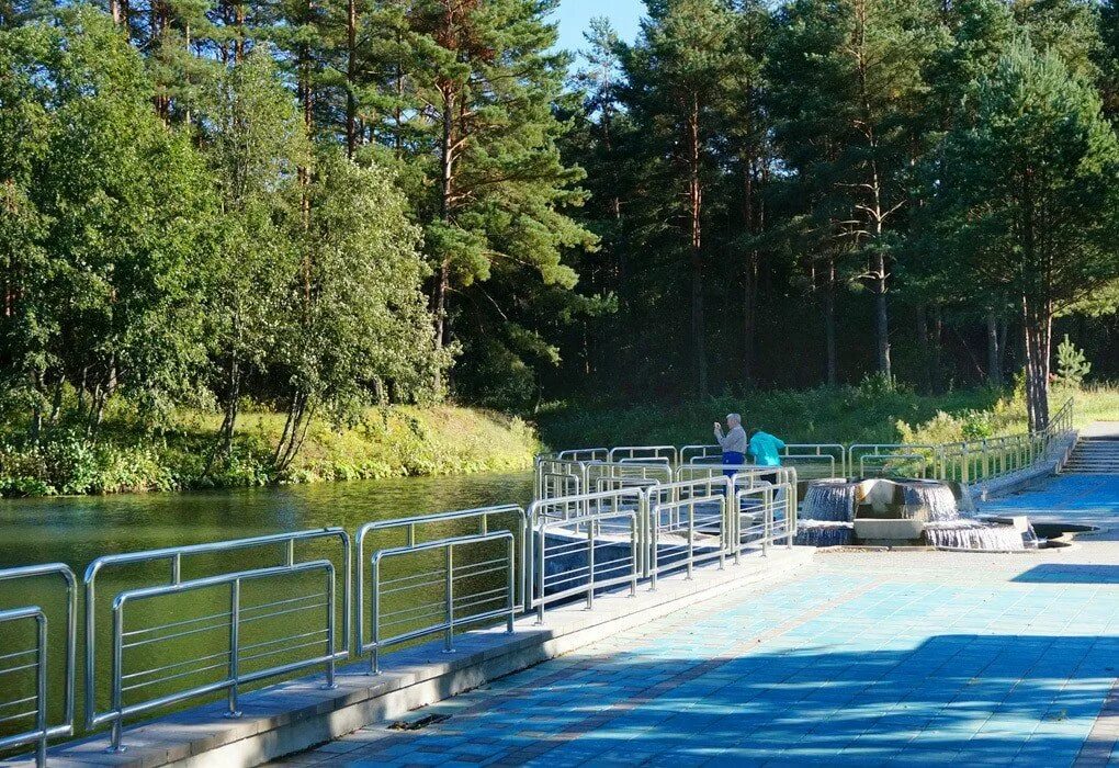 Санаторий сосновый бор николо-березовка. Санаторий сосновый бор отзывы. Сосновый бор санаторий кировская. Санаторий сосновый бор отзывы. Сосновый бор санаторий курск.