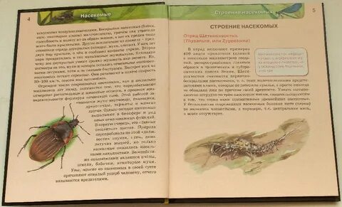 Учебник насекомые