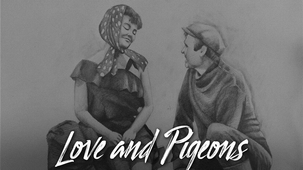 Любовь и голуби громушкина. Рисунок по фильму любовь и голуби. любовь и голуби радиоспектакль. любовь и голуби арты. любовь и голуби рисунок к фильму.