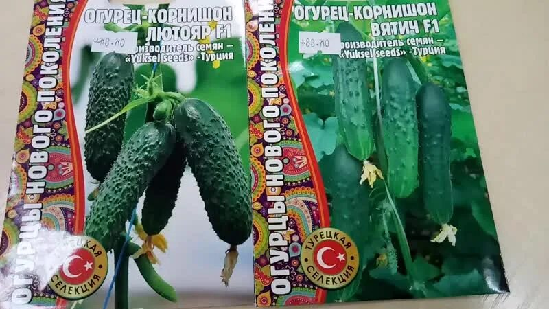 274 руб. Огурец Вятич Каприкорн F1. 50 семян. Yuksel. Турция. Теневыносливый пар