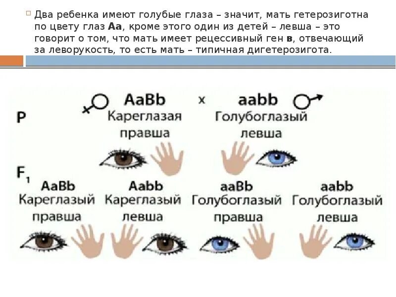 Схема наследования цвета глаз. Схема цвета глаз родителей и детей. Доминантные и рецессивные гены цвет глаз. Наследование цвета глаз у человека.