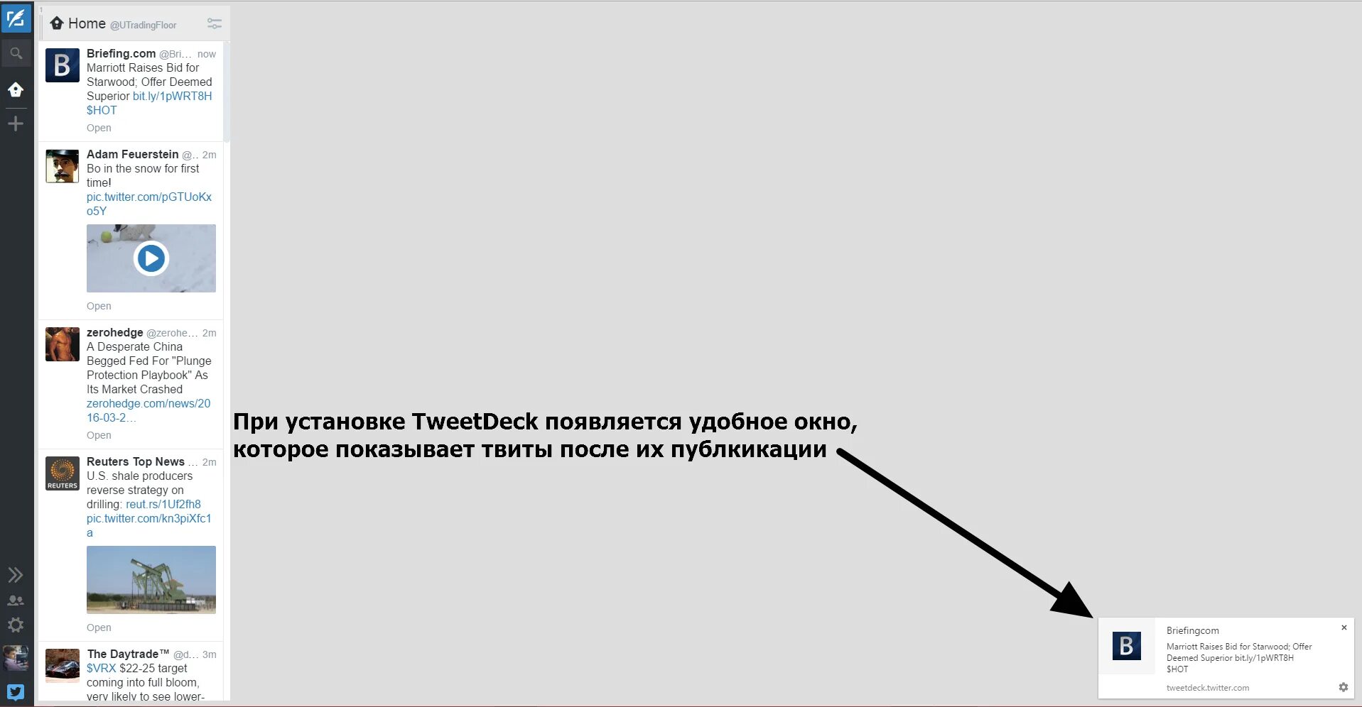 Твиттер бренд. Твиттер ответы. Как выйти из учетной записи твиттер. Анекдоты про мфц. Твиттер ответы.