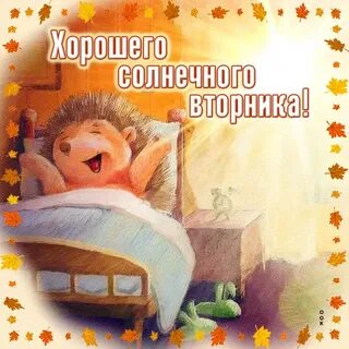 Доброго солнечного вторника