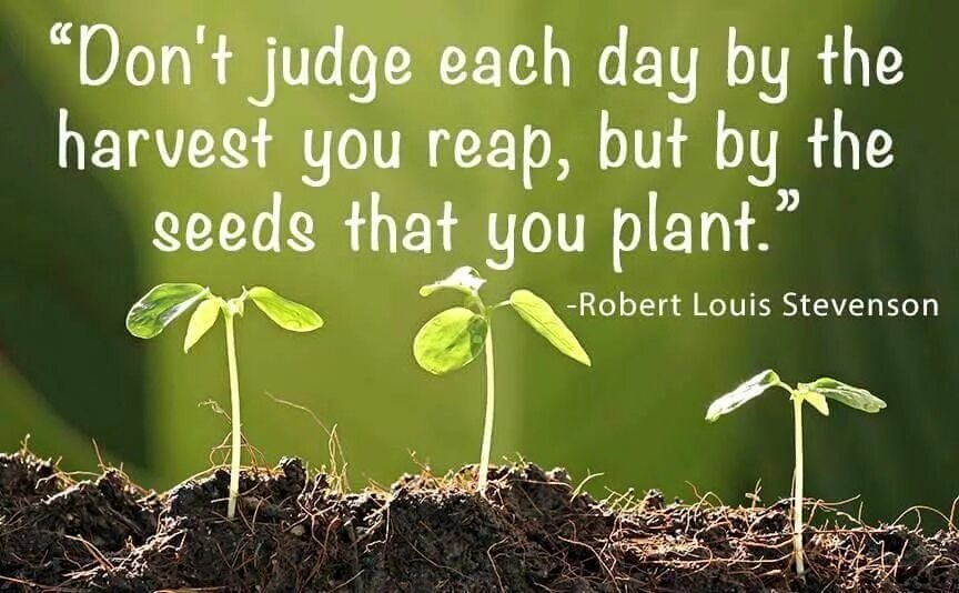 Each day our. Look for something. Plant quote. Little progress. Кружка с надписью find joy in each day.