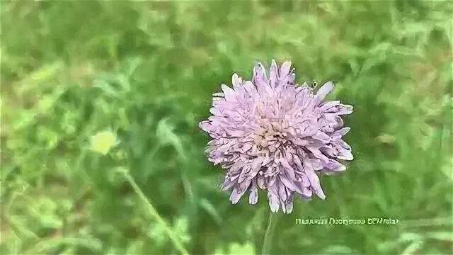 Музыка для сна лоскутова слушать