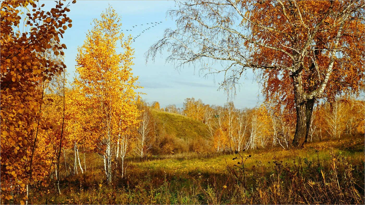 Как в старину называли осеннюю пору. Как в старину называли осеннюю пору
