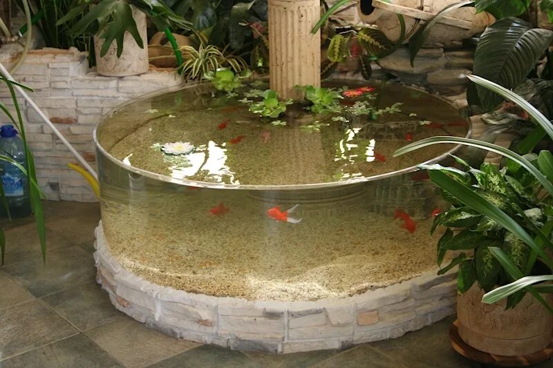 Садовый аквариум. Фонтан с рыбками. Прудик с рыбками в квартире. Сад аквариум. Аквариум в водоеме