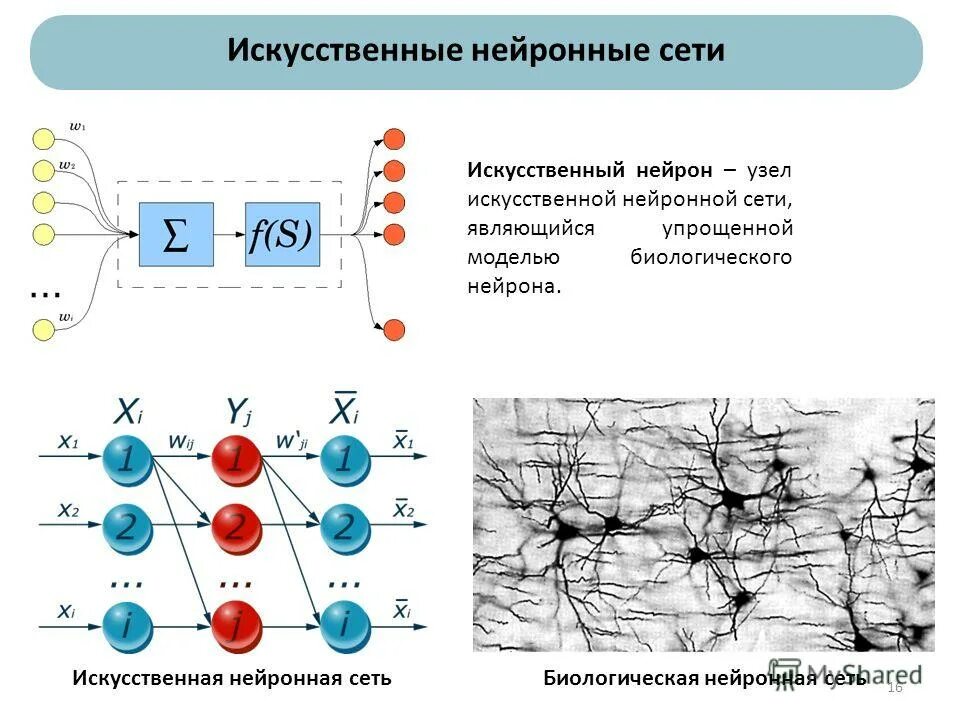 Искусственная модель