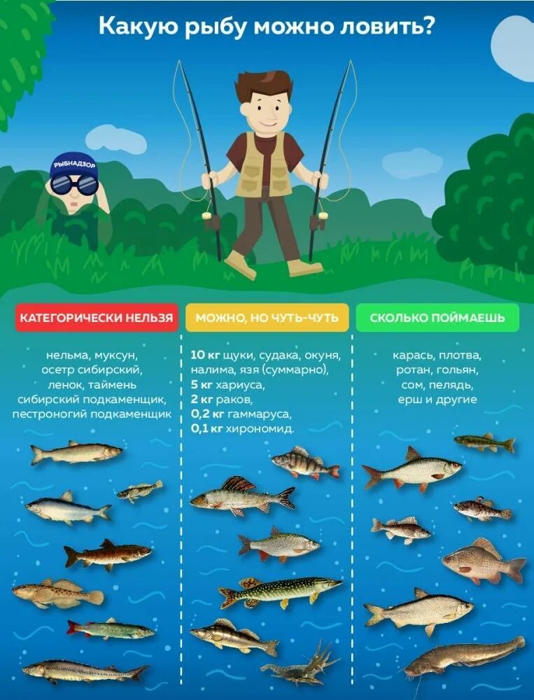 Сколькими удочками можно ловить рыбу