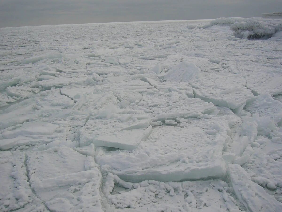 Замерзшее море. Замерзшее белое море. Белое море Торосы. Белое море зимой замерзает. Почему не замерзает баренцево