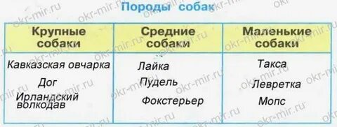 Породы собак 2 класс окружающий