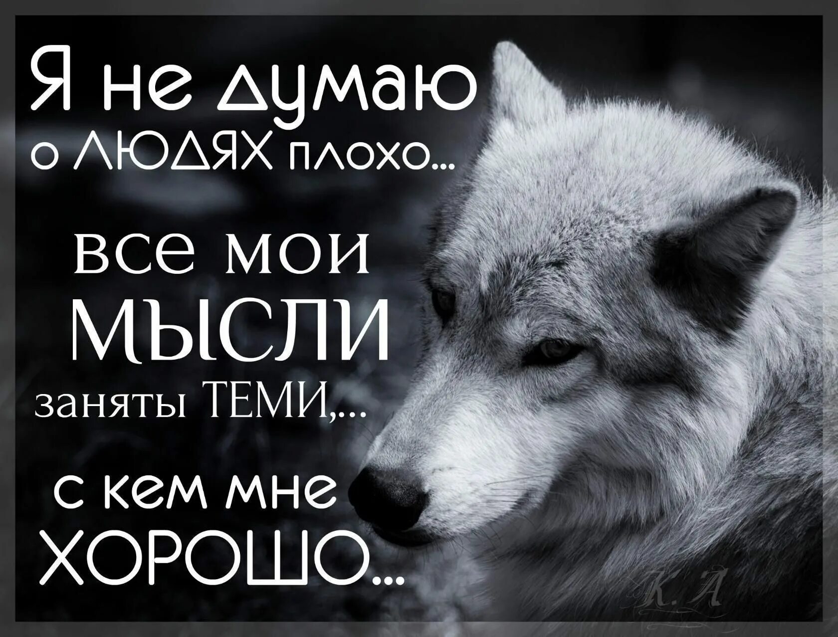 Ава на ватсап про жизнь. Цитаты волка. Цитаты про Волков со смыслом. Волк умные цитаты. Волчьи цитаты.