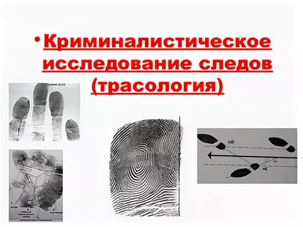 Под следами предметами трасологии понимается в частности