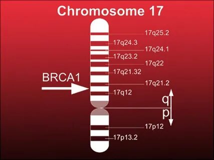 Brca мутация