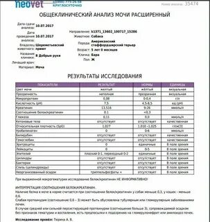 Белок 0 15 в моче что значит