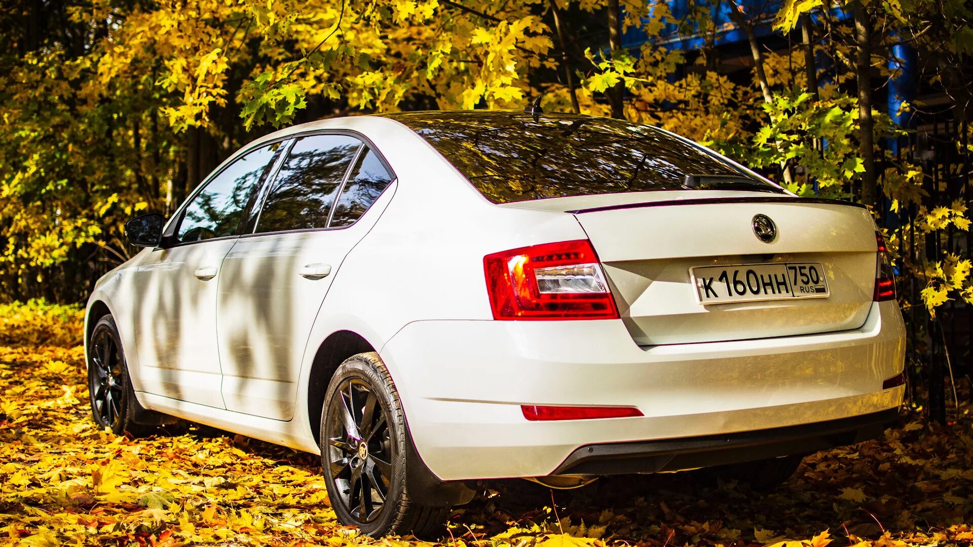 Skoda octavia a7 black. Skoda Octavia a7 FL. Skoda Octavia a7 White. Skoda Octavia Black Edition. Skoda Octavia a7 Black Edition.