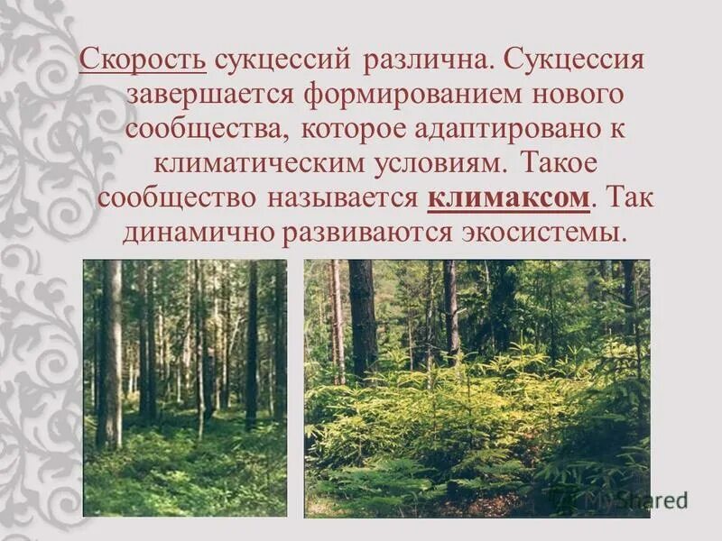 Информационный. Культурное взаимодействие. Как сделать группу в вк. Вконтакте социальная сеть. Менеджмент.