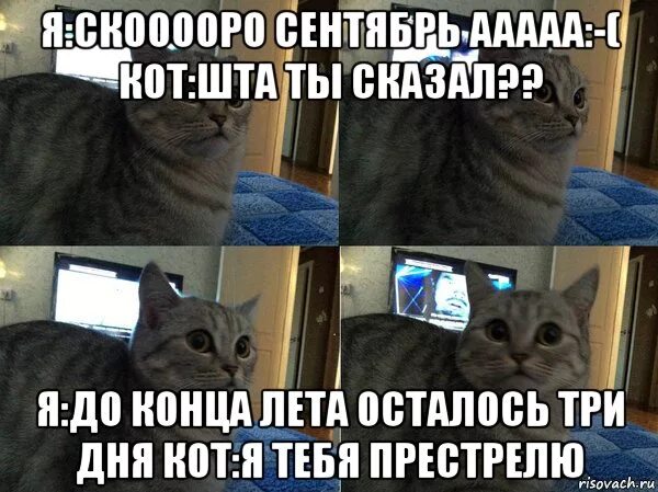 2 дня до конца лета. Шта мем кот. до лета осталось 3 дня. до конца лета остался 1 день. до лета осталось дней.