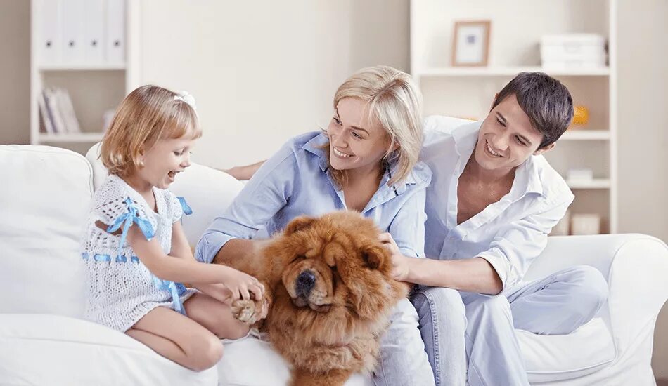 Семья с собакой. Семья с питомцами. Семейные собаки для детей. Счастливая семья с домашними животными. Pet owner