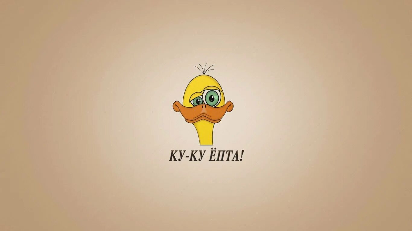 Какие нибудь обои. Прикольные надписи на рабочий стол. прикольные обои с надписями. прикольные надписи на рабочий стол компьютера. обои на телефон с надписями.