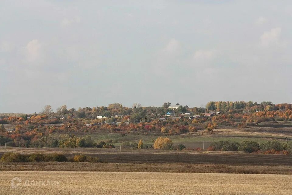 Село мичурино чамзинский. Село мичурино мордовия. С. Погода мичурино мордовия чамзинский. Село мичурино мордовия храм.