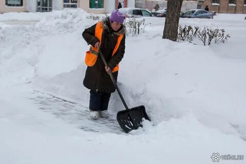 Собирать снег