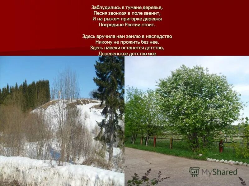 на пригорке видны прямые широкие улицы. деревня в лесу. на пригорке видны прямые широкие улицы. во деревне то было в ольховке. в деревне было в ольховке.