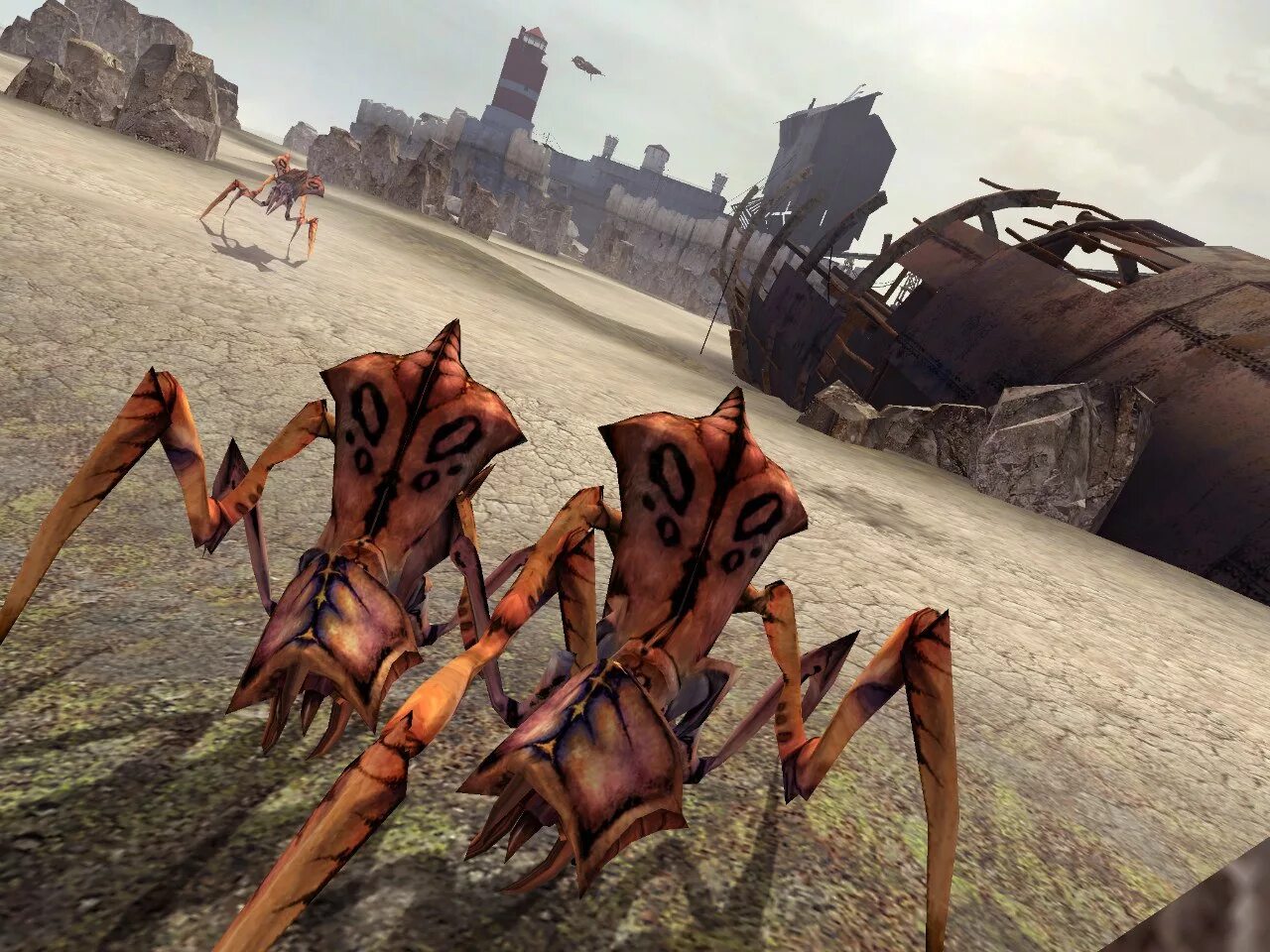 Муравьиные львы hl2. Халф лайф 2 страж муравьиных львов. Half life 2 муравьиные. Муравьиных львов half-life 2. Half life 2 муравьиные.