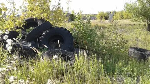 Природные ресурсы рт
