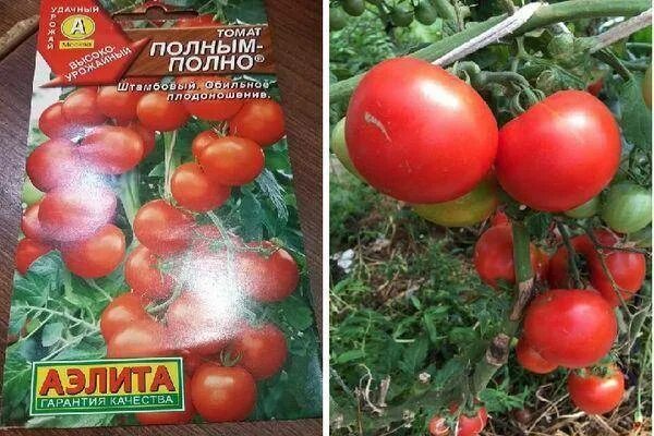 Отзывы на АЭлита Семена от покупателей OZON