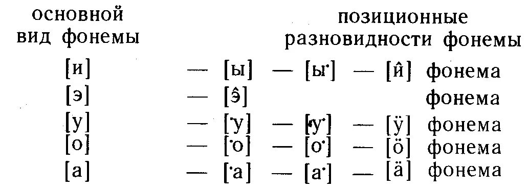 Разновидности фонем. Типы позиционной мены гласных. Основной вид фонемы. Варианты гласных фонем. Звуки речи фонема