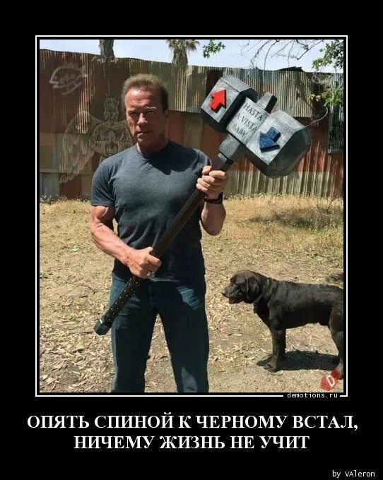 Ничему жизнь не учит. Жизнь ничему не учит. демотиватор спина. жизнь ничему не научила. некоторых людей жизнь ничему не учит.