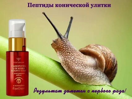 Улитка для лица отзывы