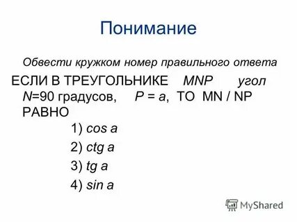 Впишите номера правильных предложений