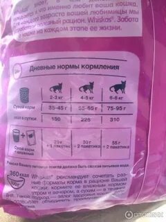 Сколько котенку нужно сухого корма в день