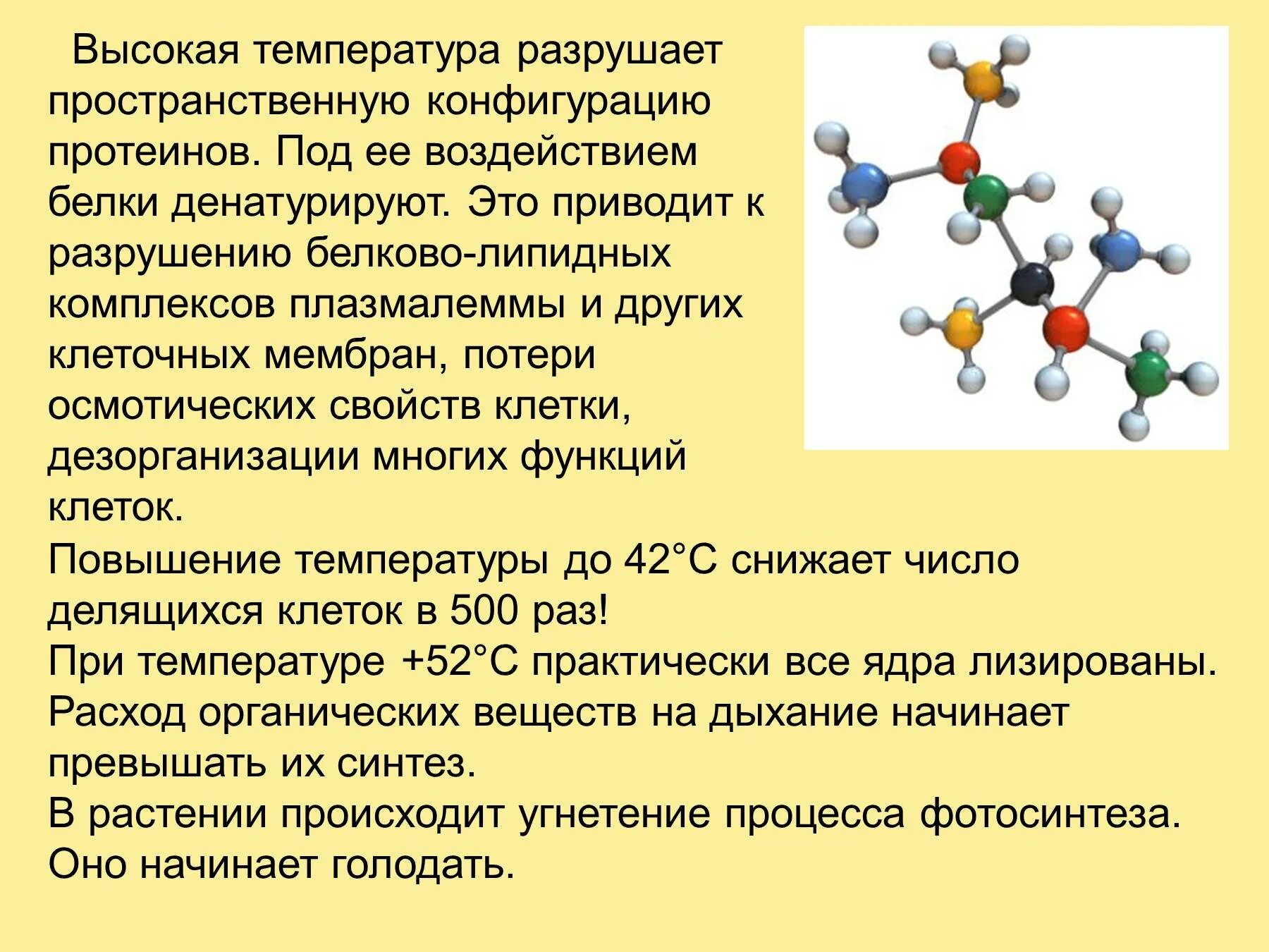 Какая температура разрушает. Влияние температуры на белки. Белки температура разрушения. Пространственная конфигурация белка. Белки при воздействии температуры.